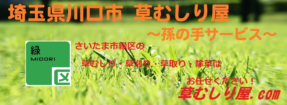 ̎T[rX